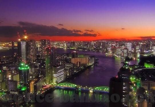 九游app电脑下载-游戏世界中的探索之旅 —— 九游APP电脑下载指南
